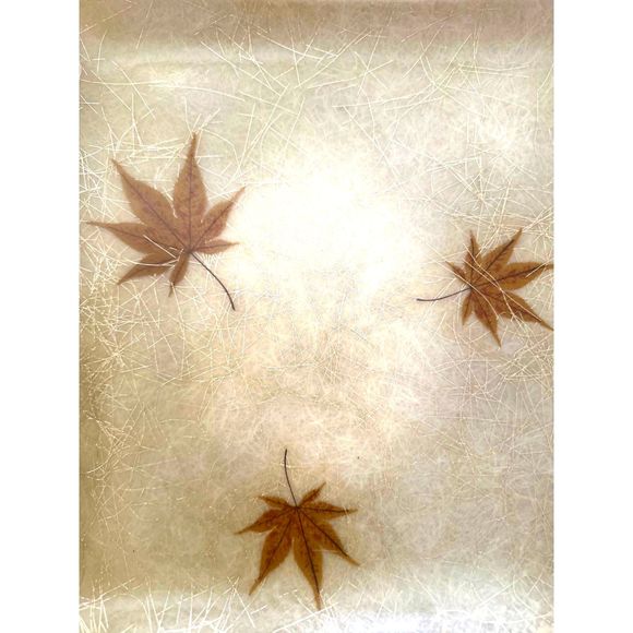 Vintage Fiberglass Set of 2 Lap Trays - Butterflies and Leaves, MCM Atomic Era - Picture 4 of 8